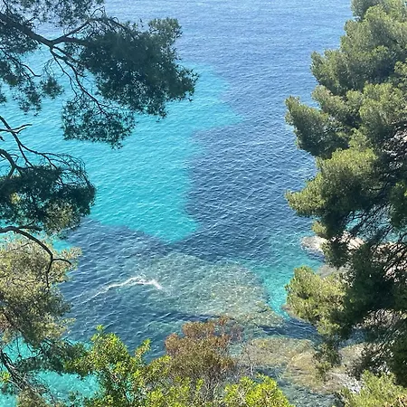 La Malpagne, 400m2 Les Pieds Dans L'eau * Le Rayol-Canadel-sur-Mer